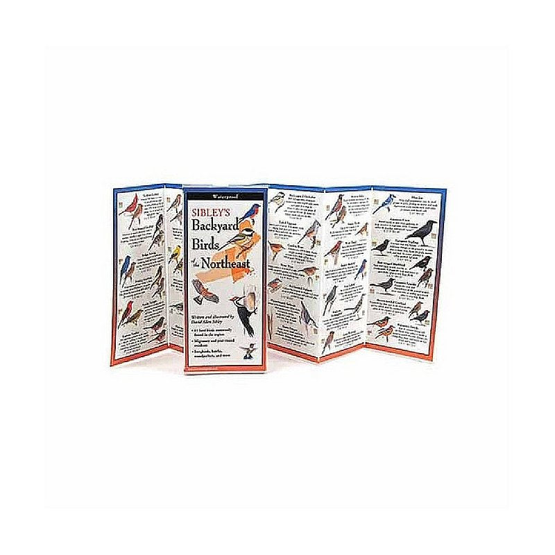 Sibley's Backyard Birds of the Northeast Folding Guide