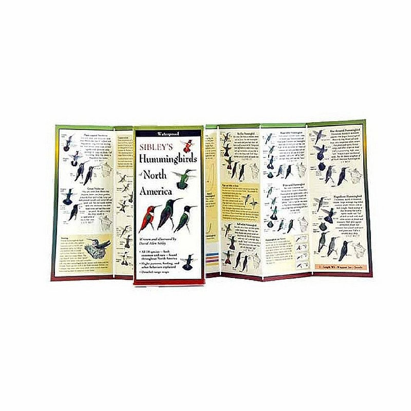 Sibley's Birds of North America Folding Guide