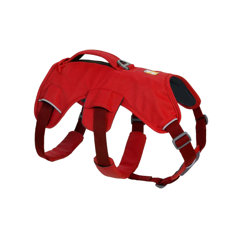 Web Master Dog Harness w/ Handle