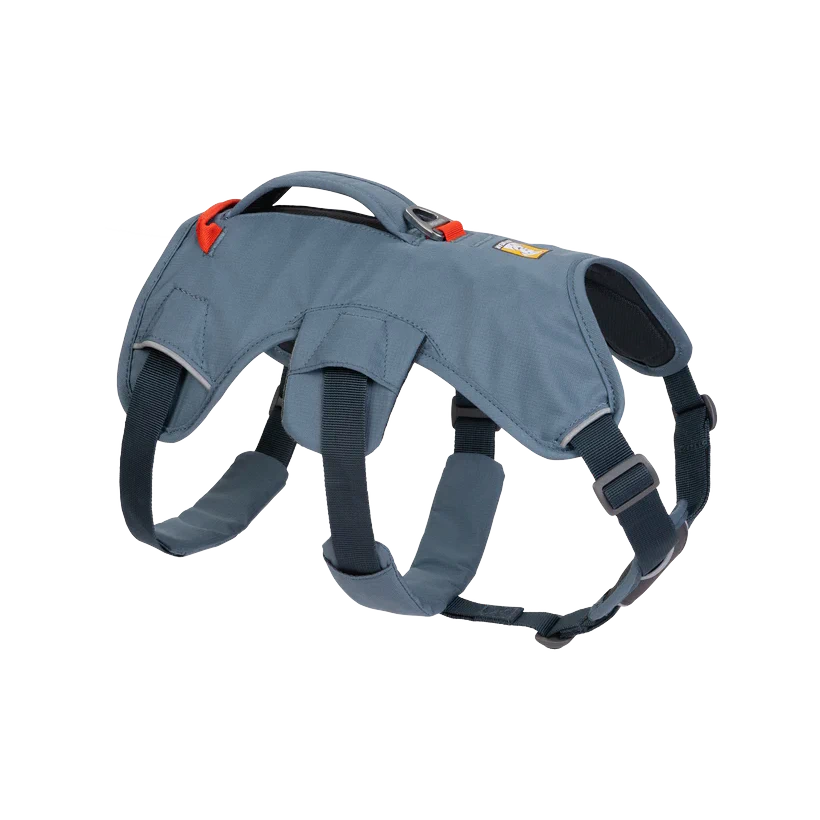 Web Master Dog Harness w/ Handle