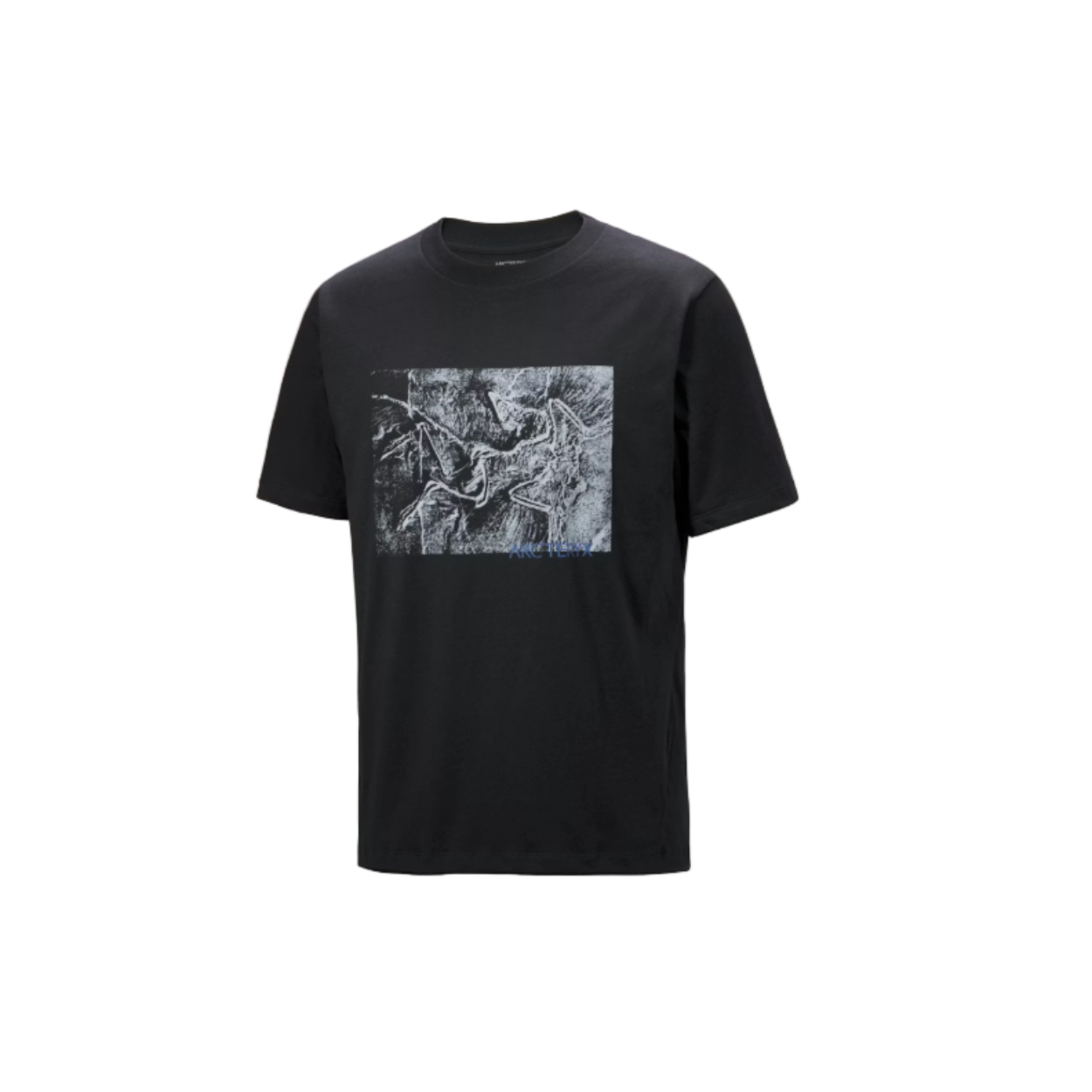 Men's Kragg Cotton Lithographica SS Shirt