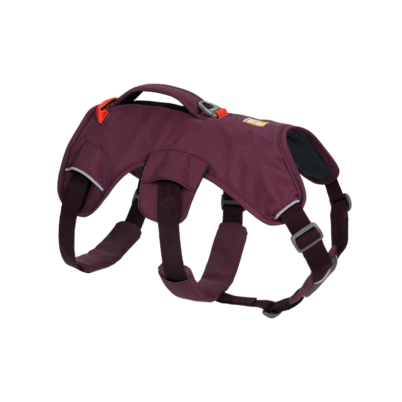 Web Master Dog Harness w/ Handle