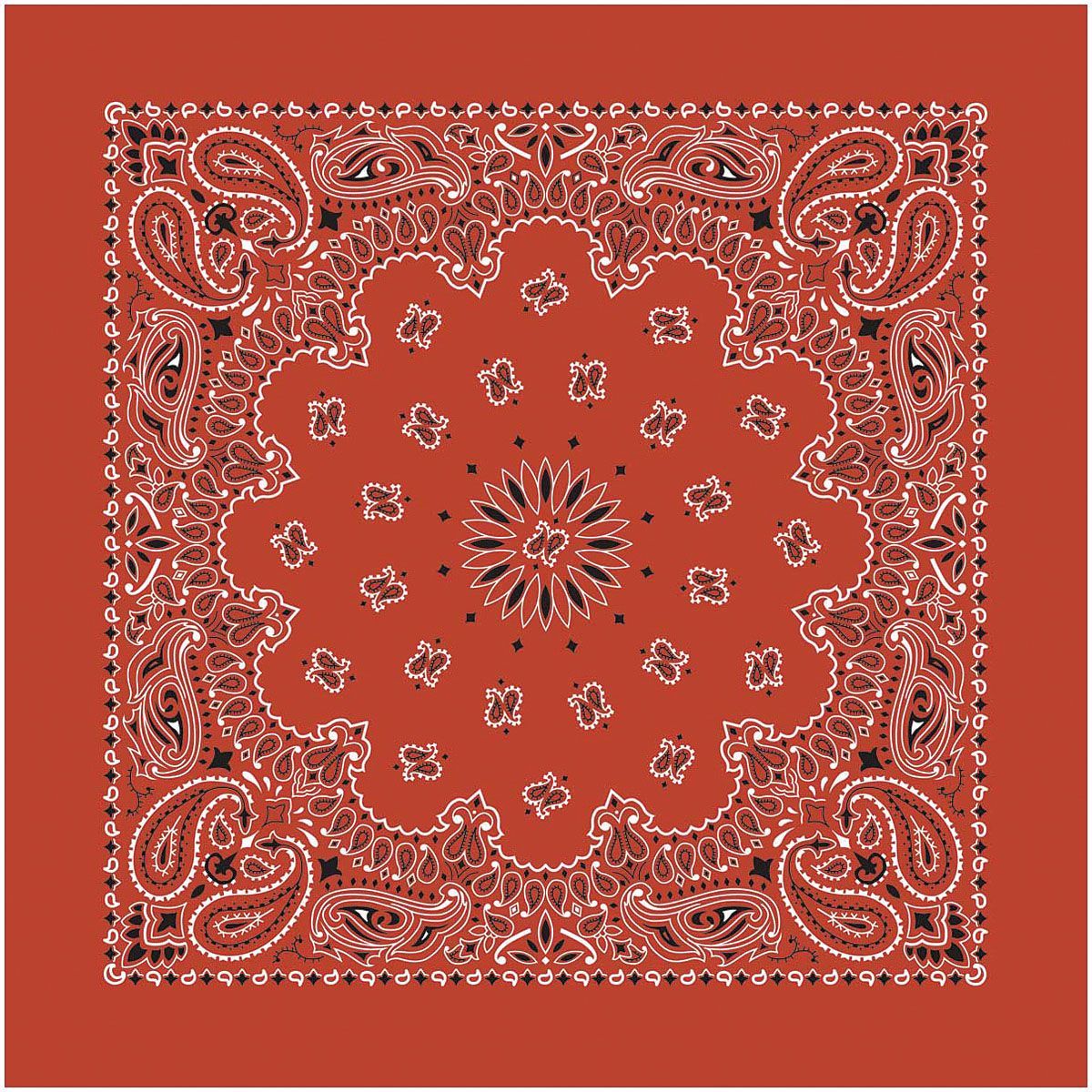 Paisley Bandana