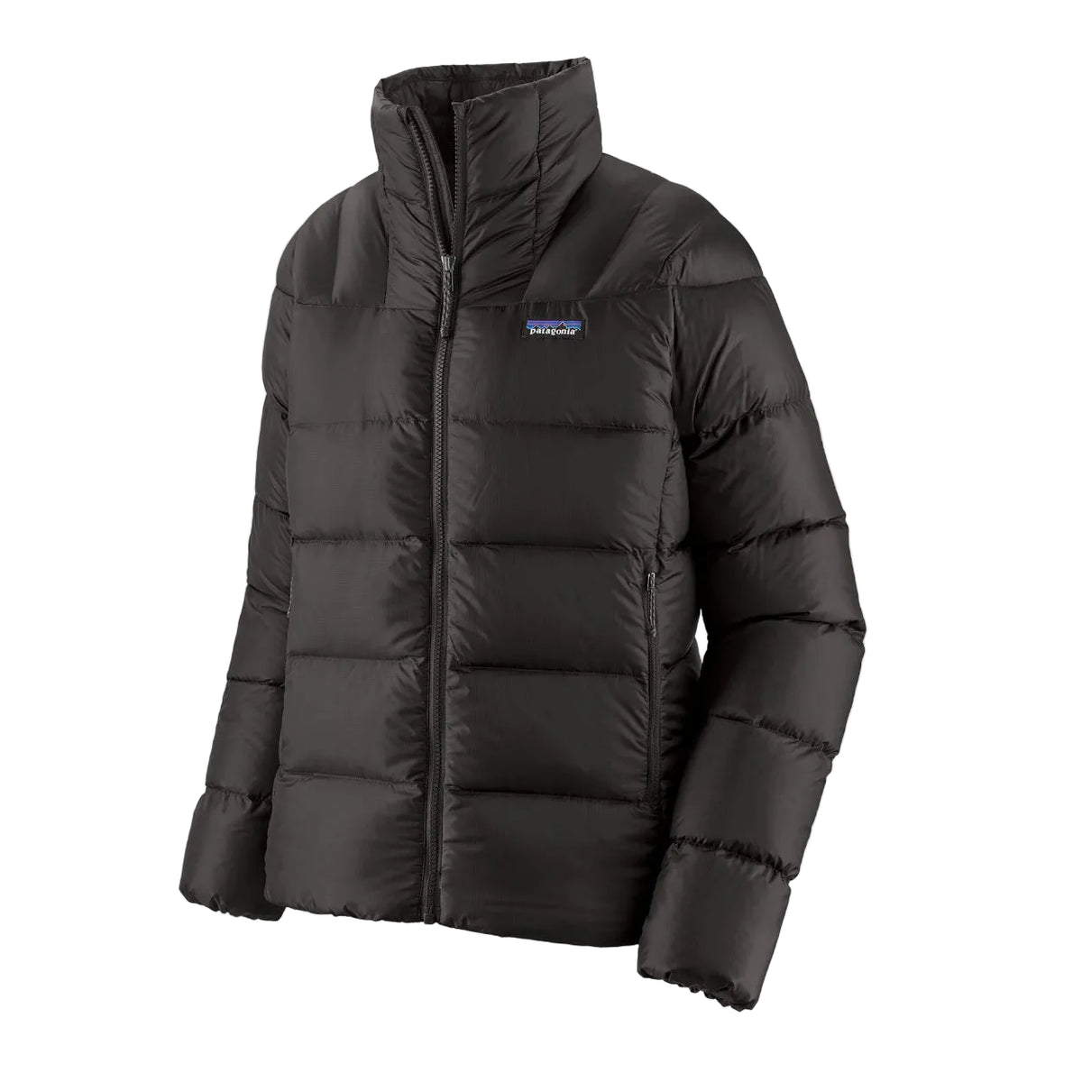 Women's Fitz Roy Down Jacket