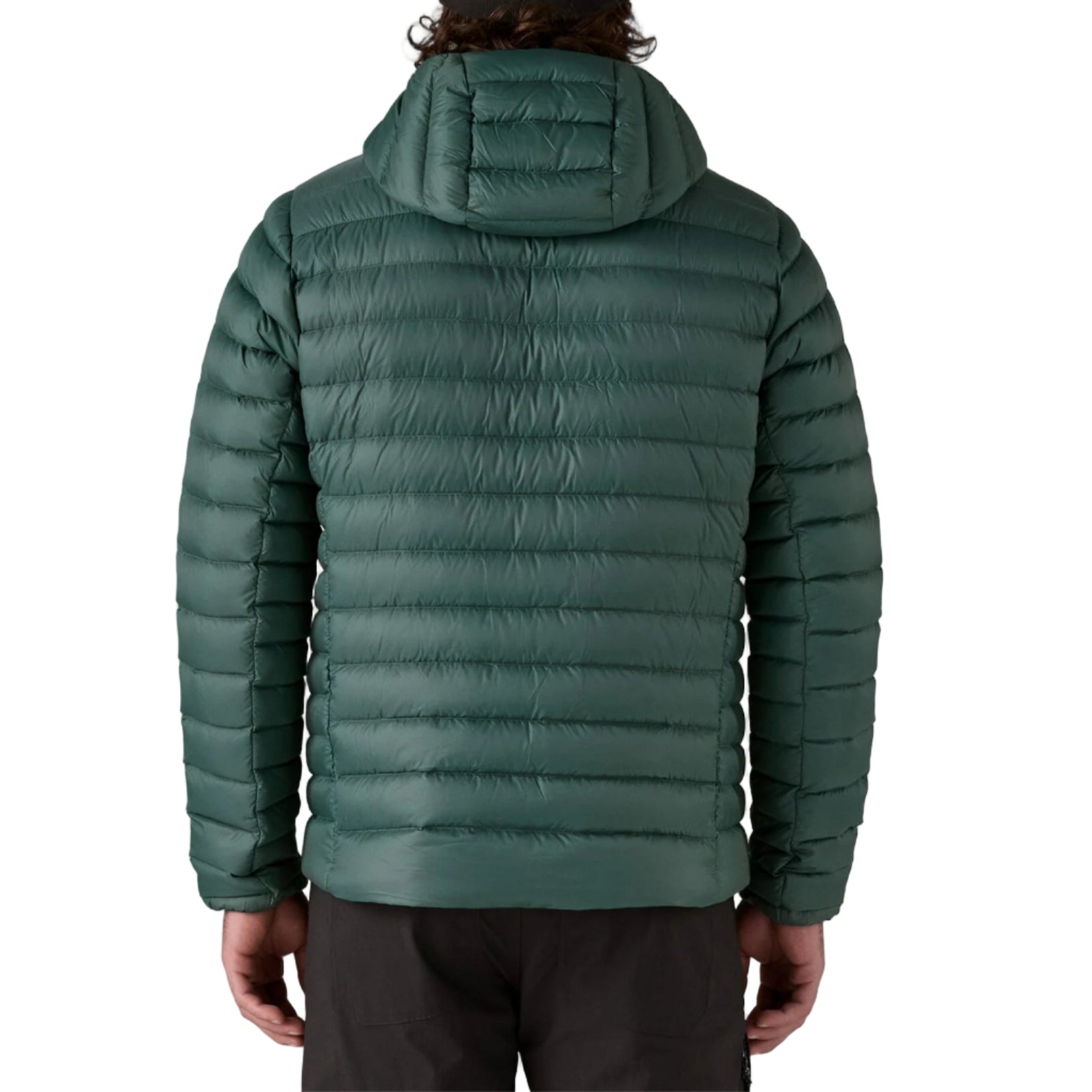 Men's Down Sweater Hoody