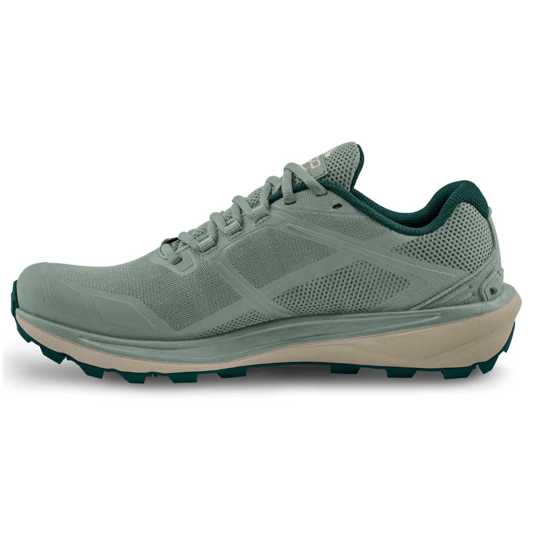 Women's Terraventure 4 Shoes