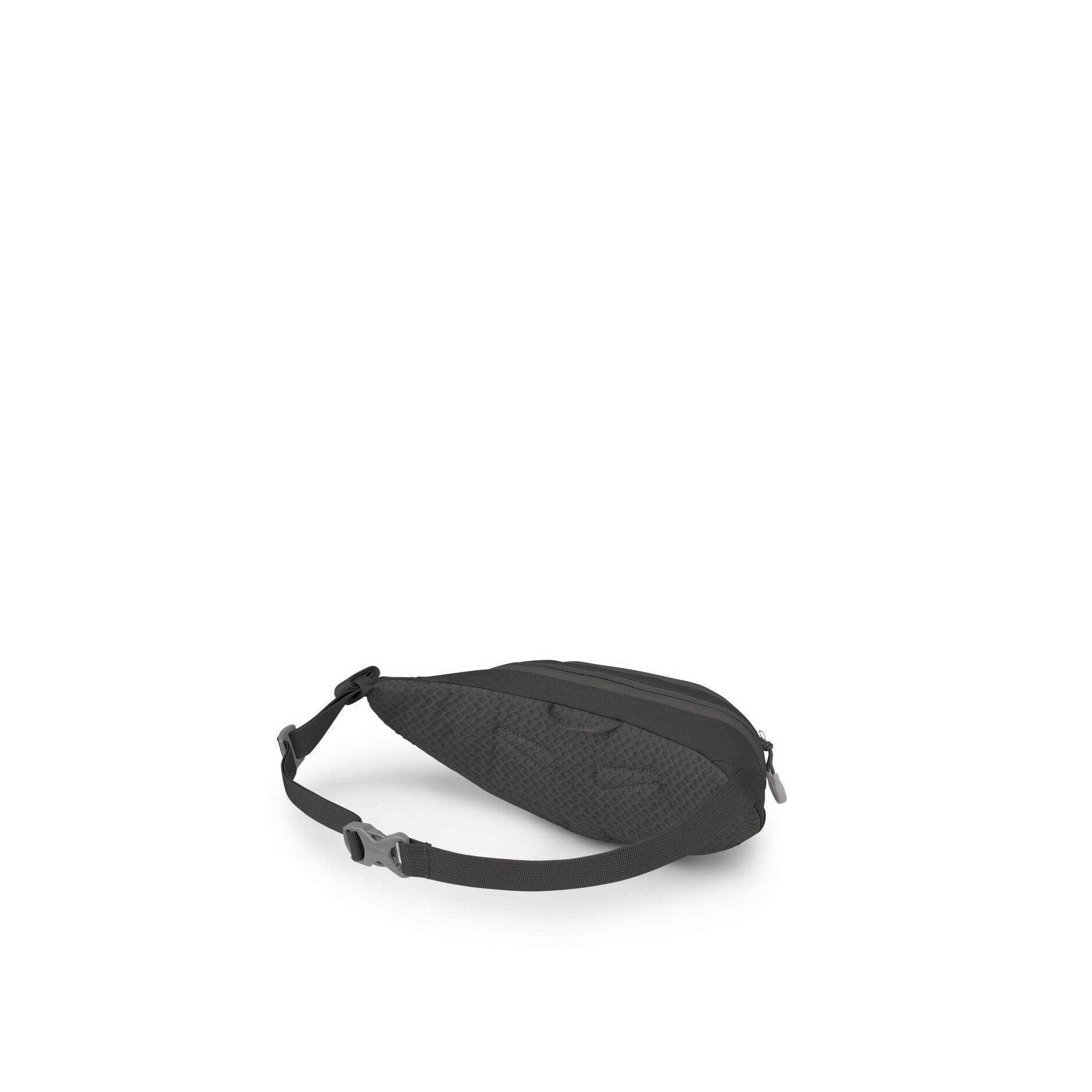 Daylite Mini Waist Fanny Pack