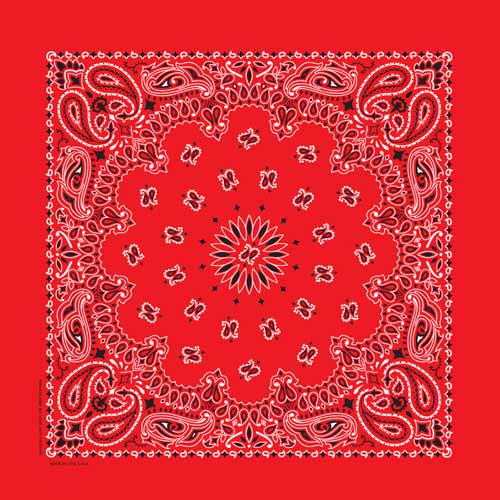 Paisley Bandana