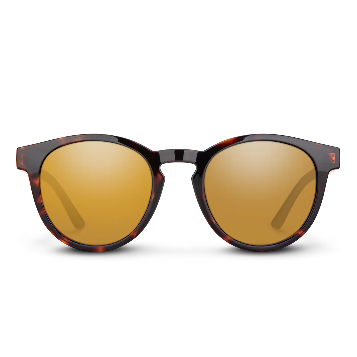 Barnes Sunglasses