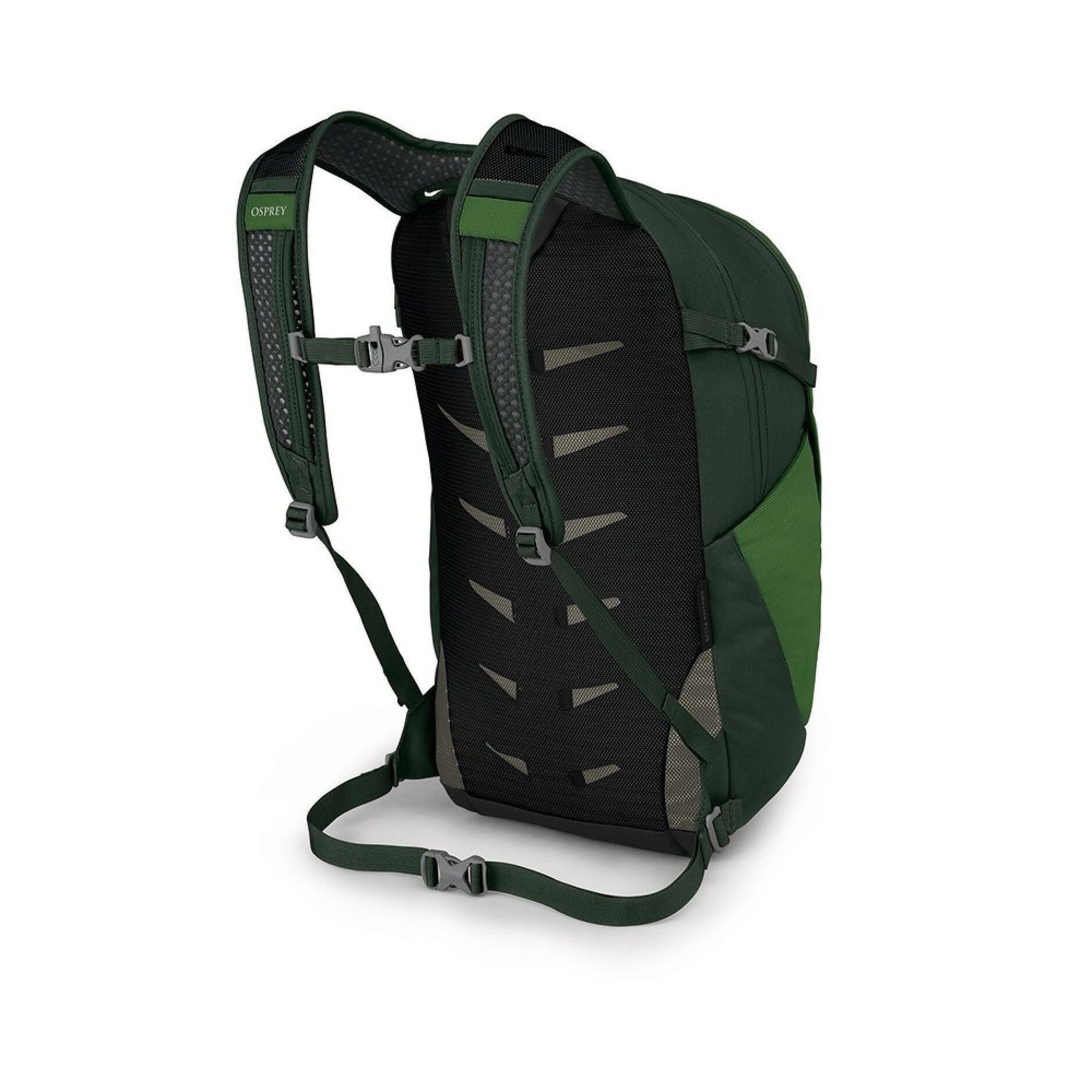 Daylite Plus Backpack
