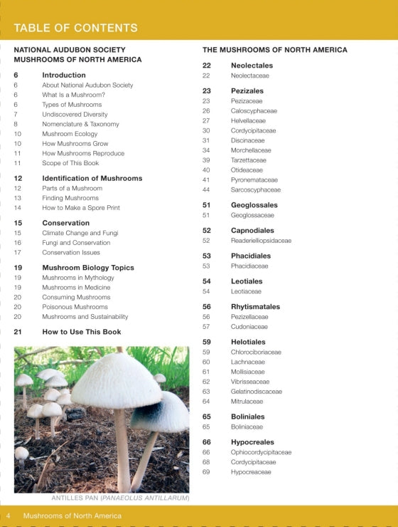 National Audubon Society Mushrooms of North America