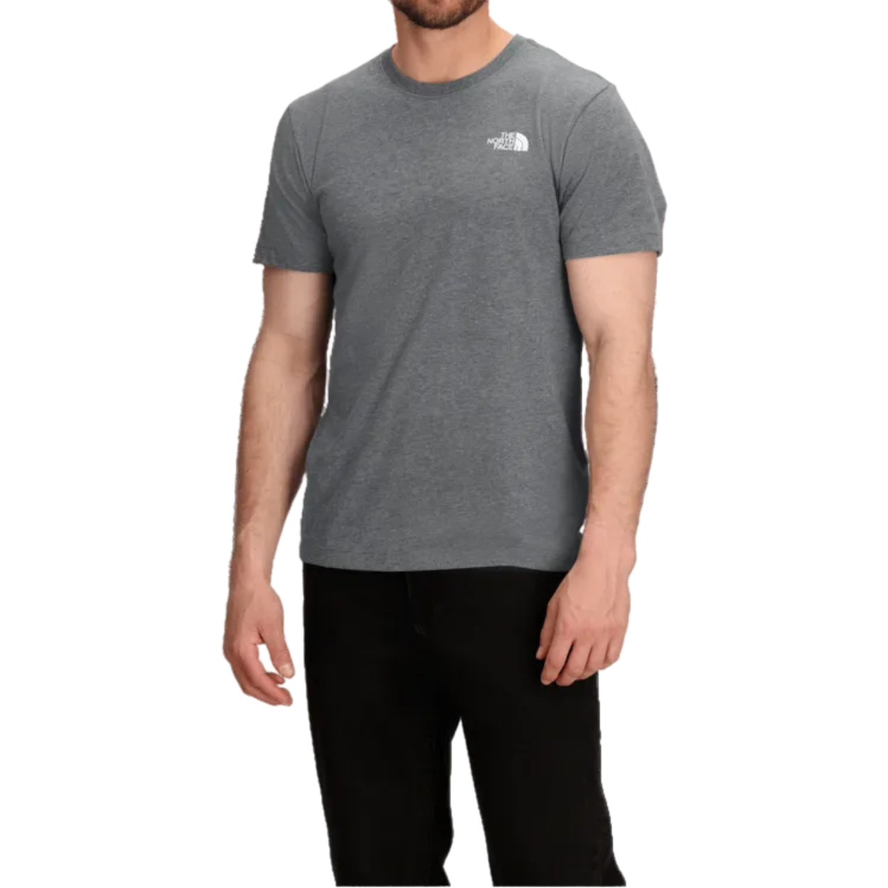 Men's Sunlit Summit Regular Short-Sleeve Tee Shirt