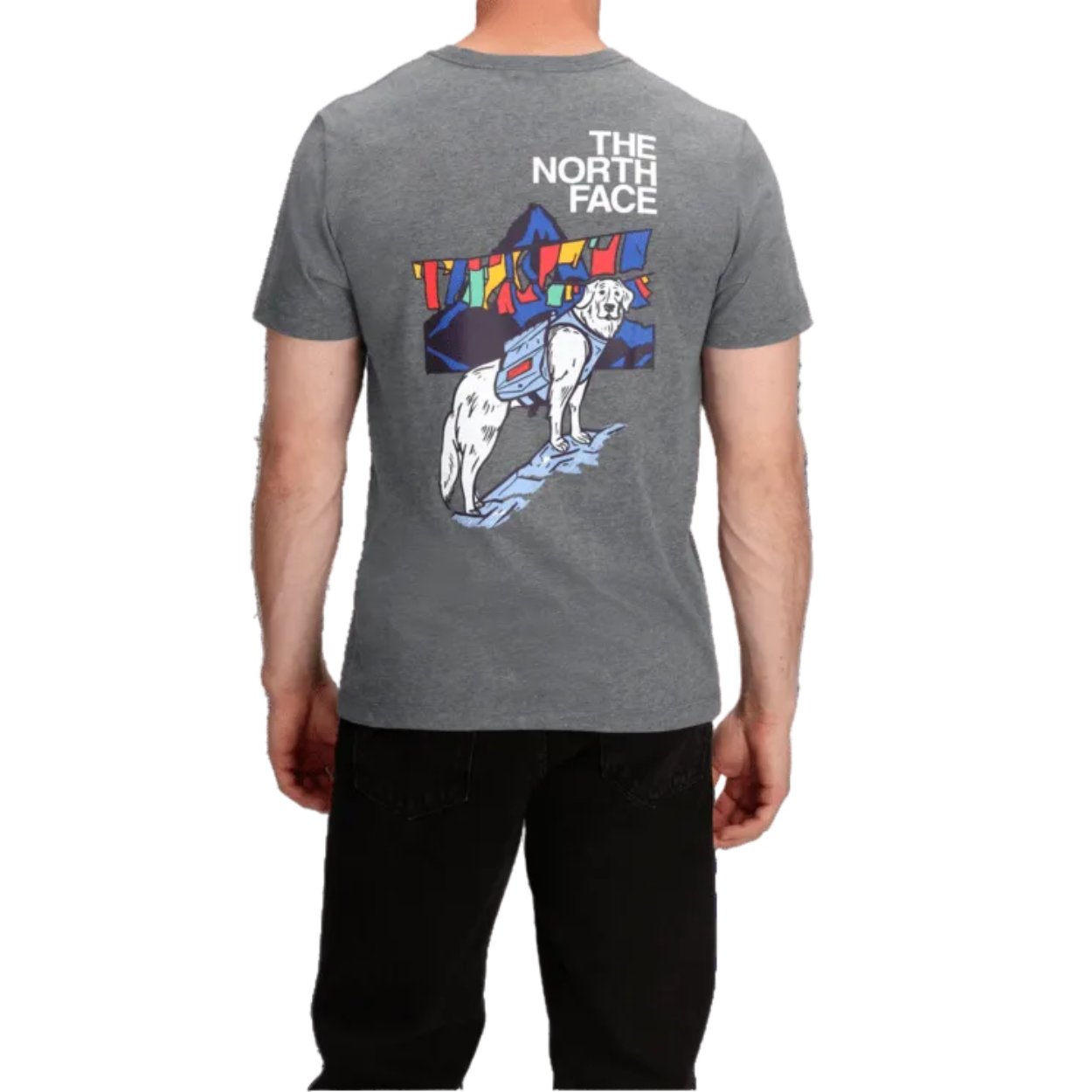 Men's Sunlit Summit Regular Short-Sleeve Tee Shirt