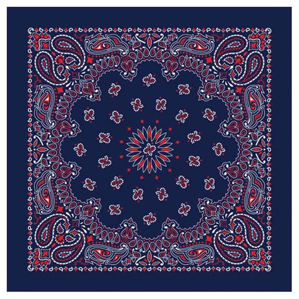 Paisley Bandana