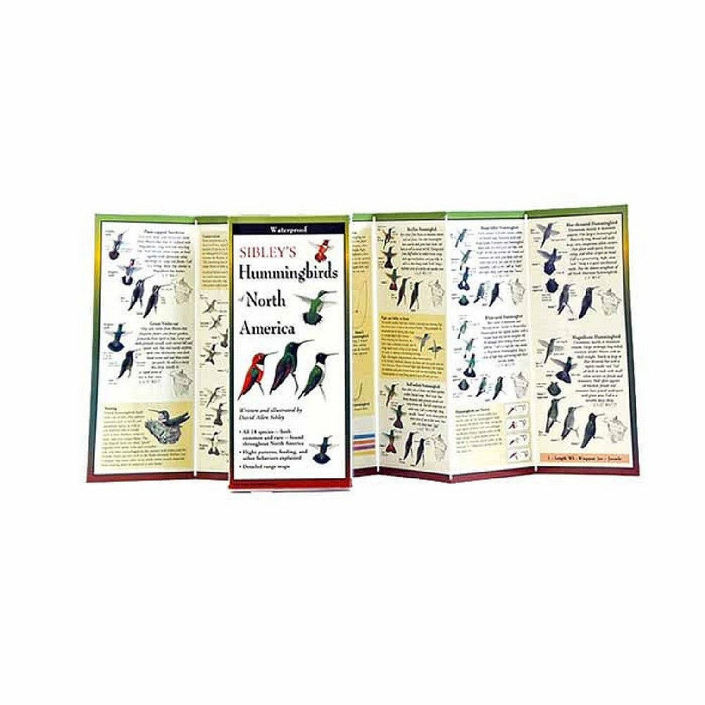 Sibley's Birds of North America Folding Guide