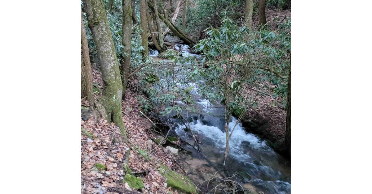 Hiking Shingletown Gap, a Favorite Nearby Trail System