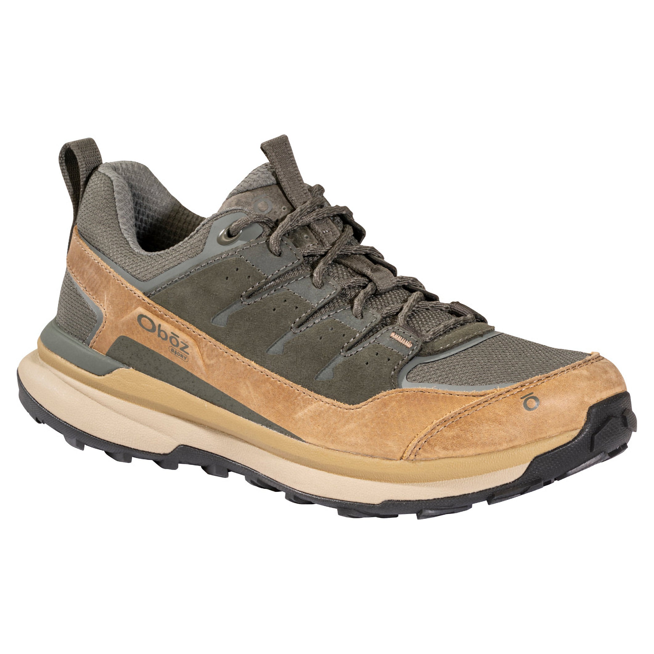 Men's Hyalite Low B-Dry Shoes