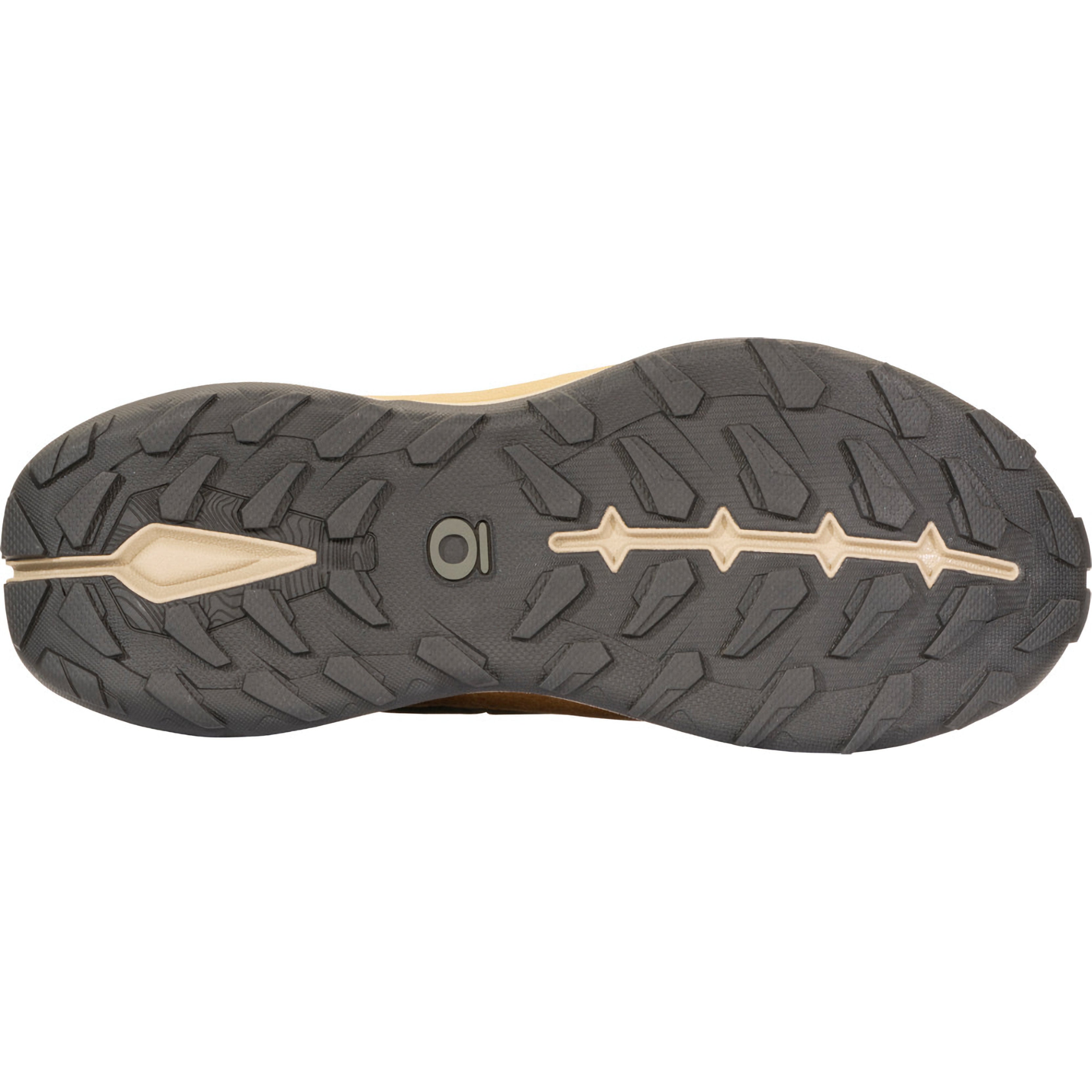 Men's Hyalite Low B-Dry Shoes