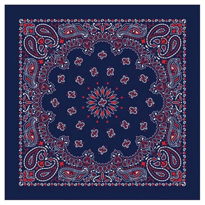 Paisley Bandana