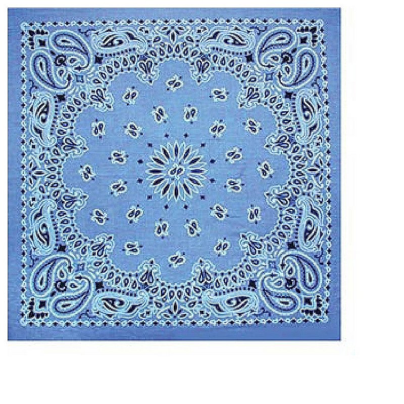 Paisley Bandana