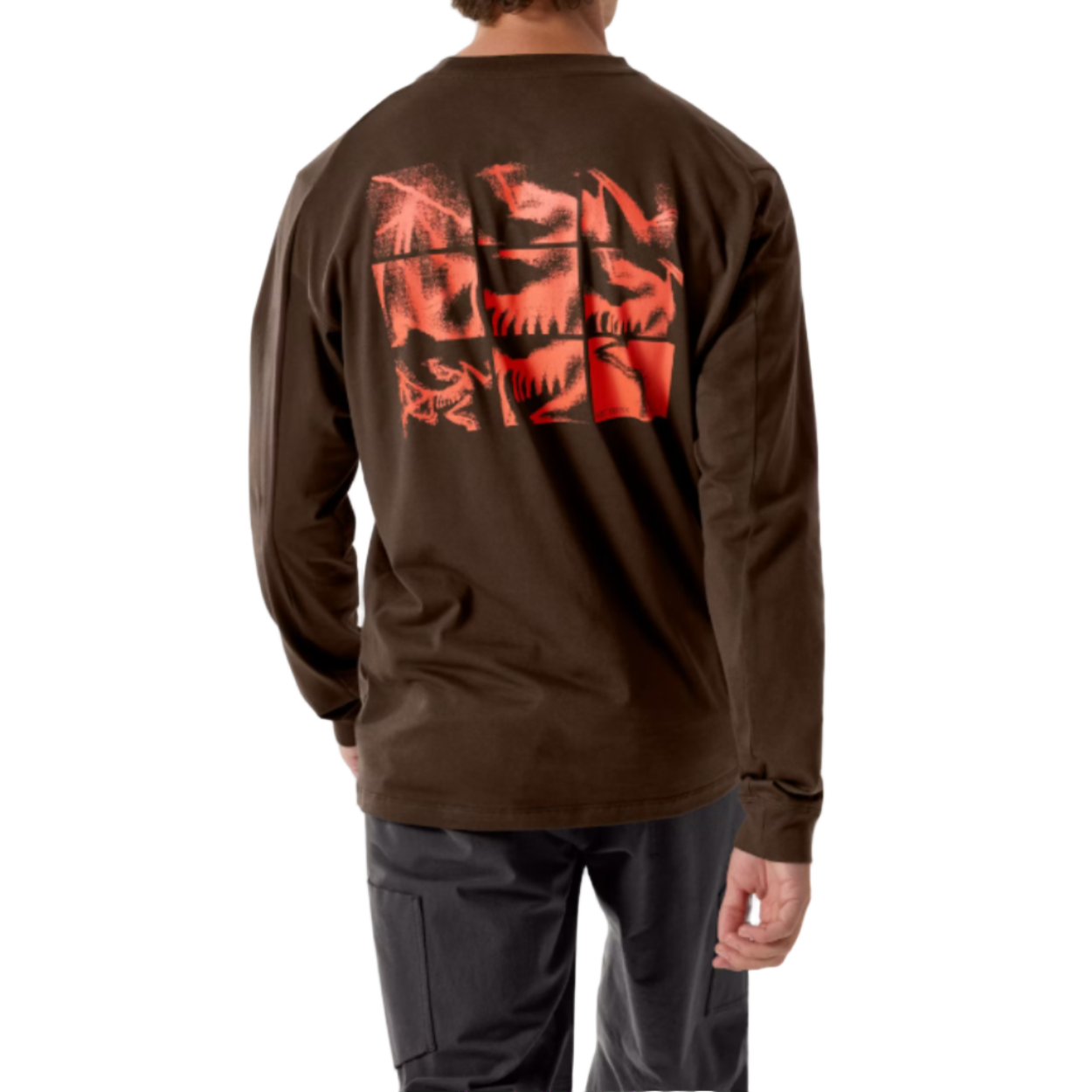Men's Kragg SL Cotton Bird Tile LS Shirt