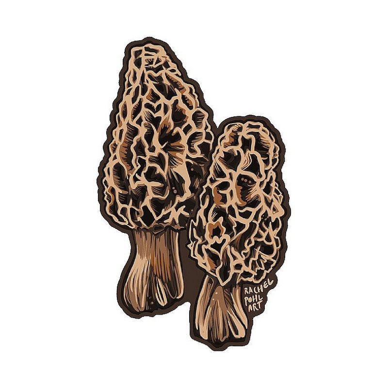 Morel Mushrooms Patch