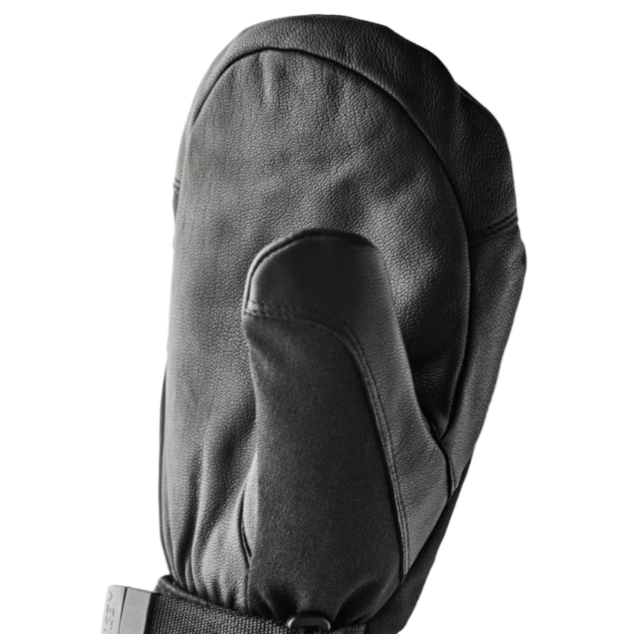 Men's CZone Mountain Mitten