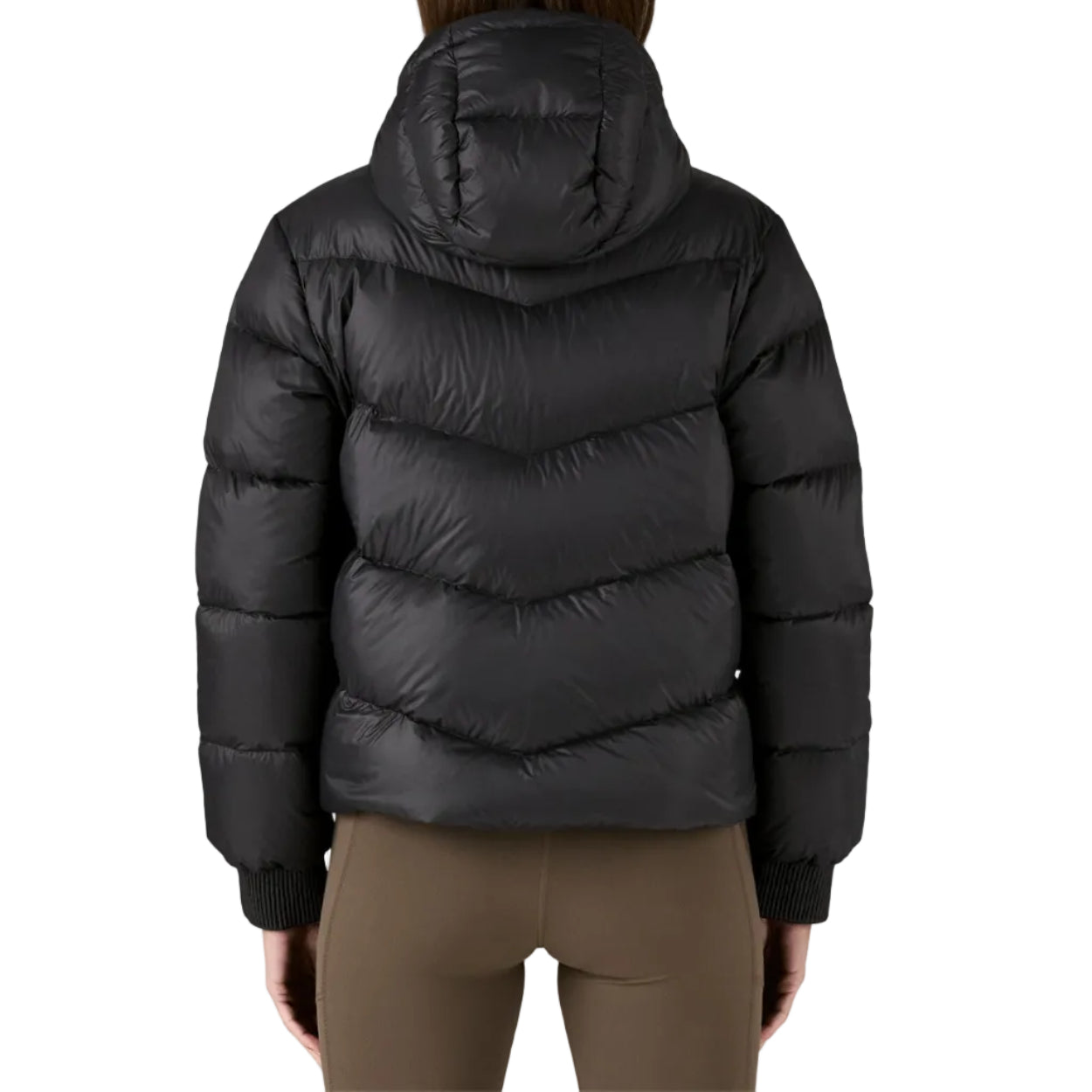 Women's Sindit Hoody Jacket