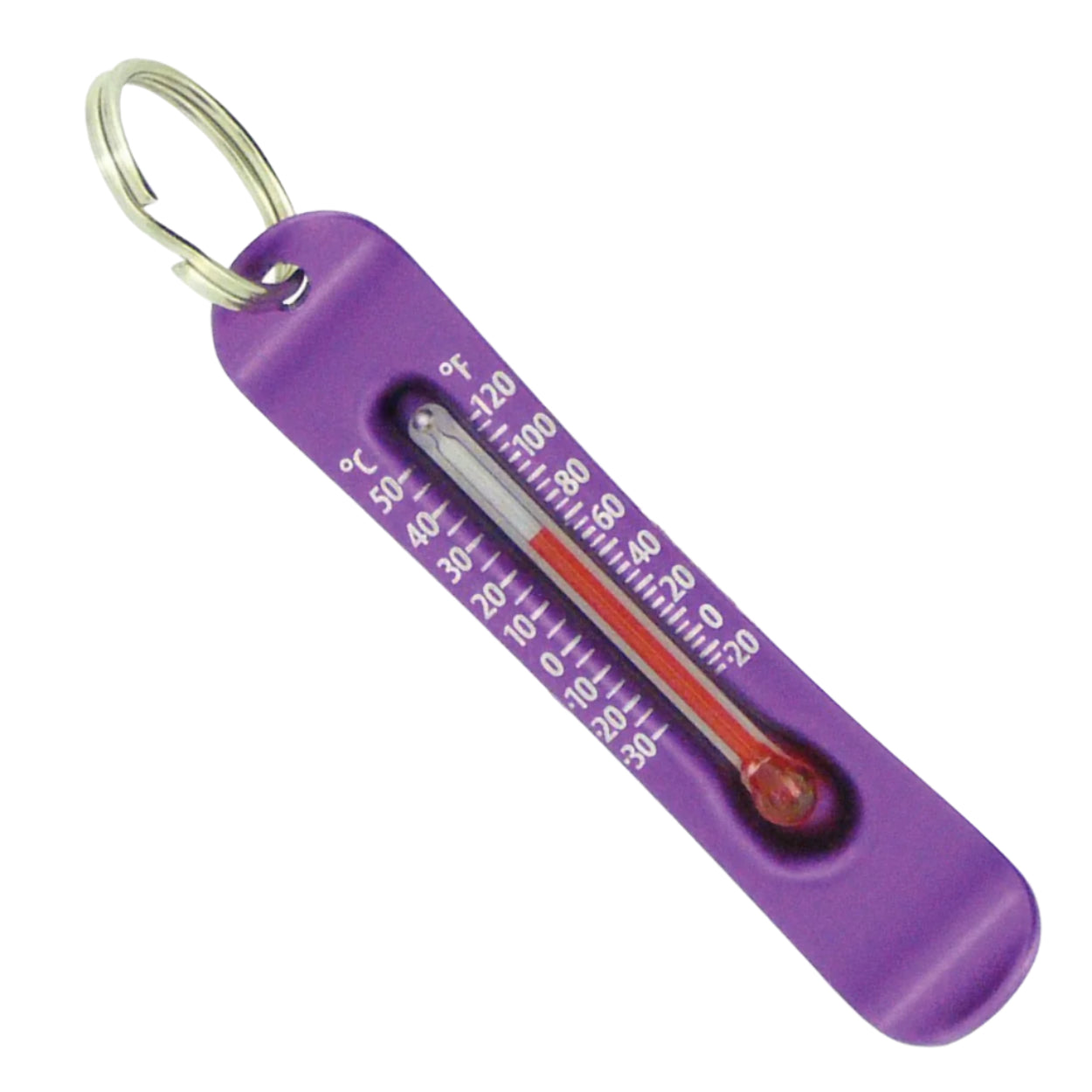 Brrr-ometer Thermometer