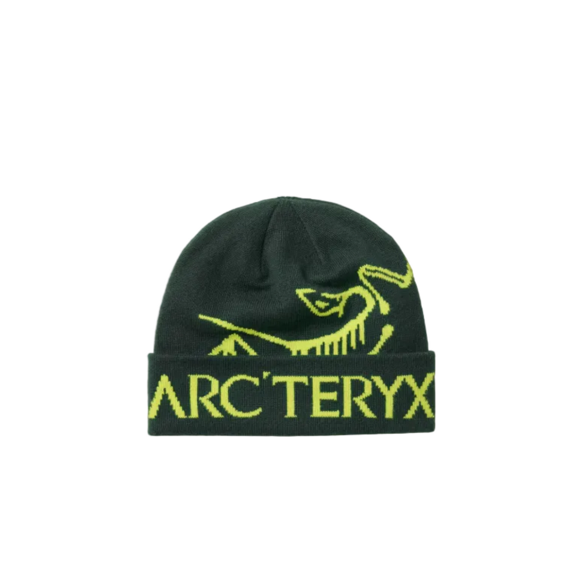 Bird Word Toque Beanie