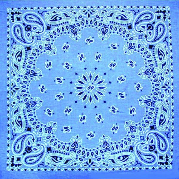 Paisley Bandana
