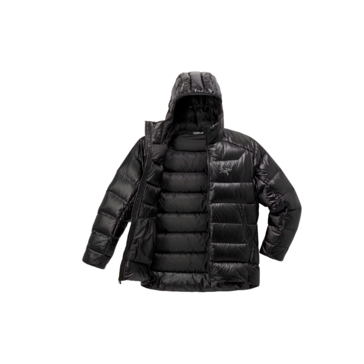 Men's Cerium SV Hoody