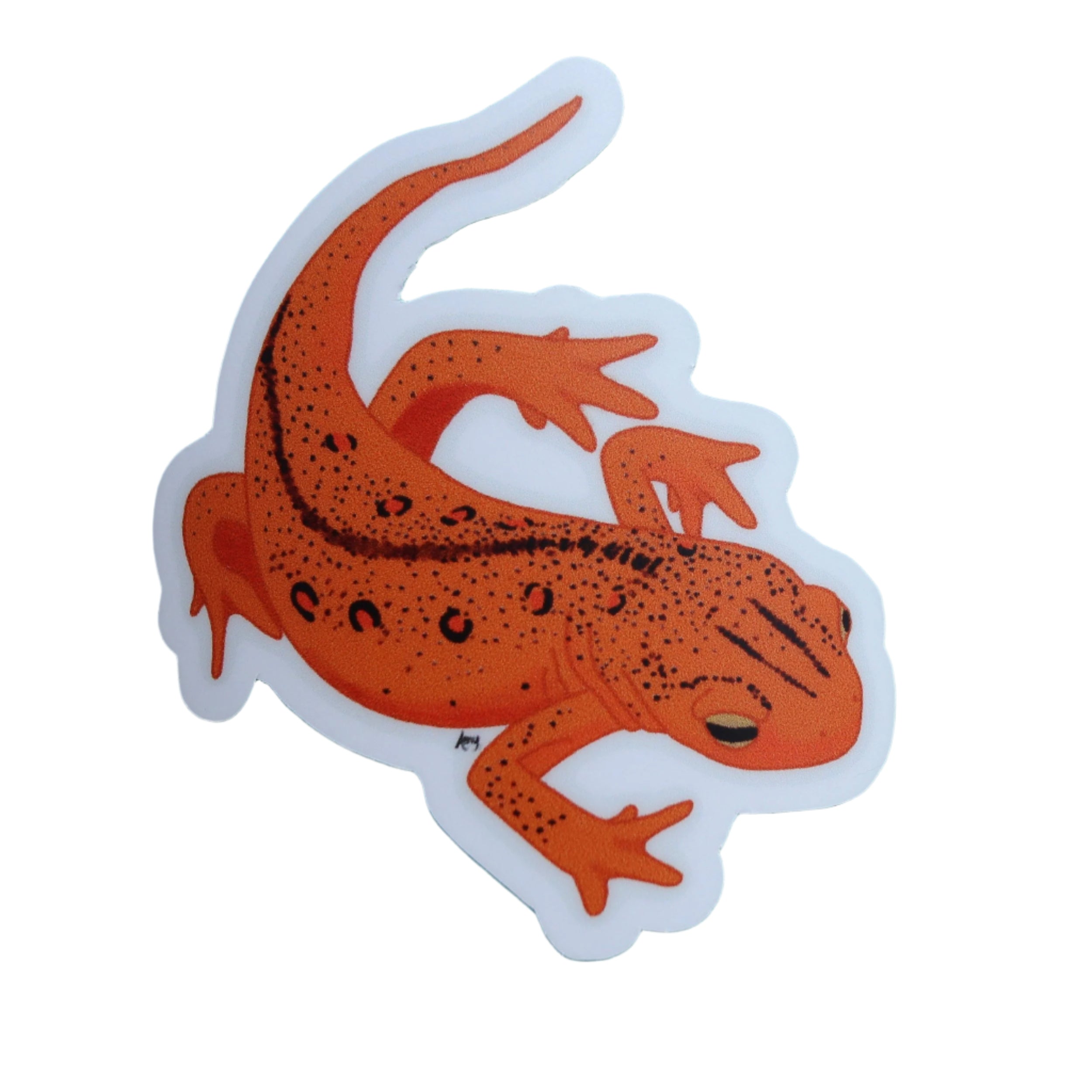 Eastern Spotted Red Newt Sticker