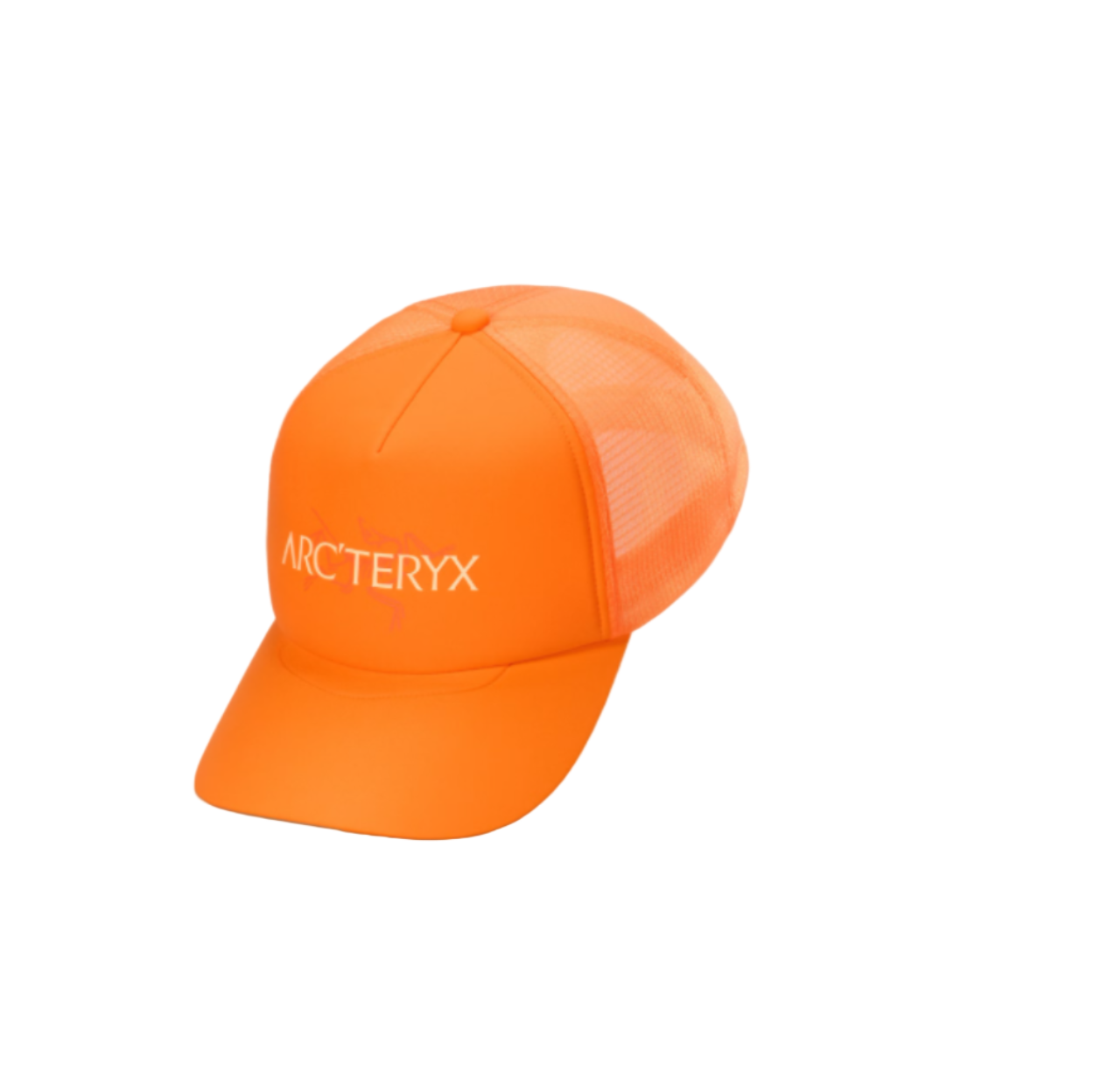 Bird Word Trucker Hat