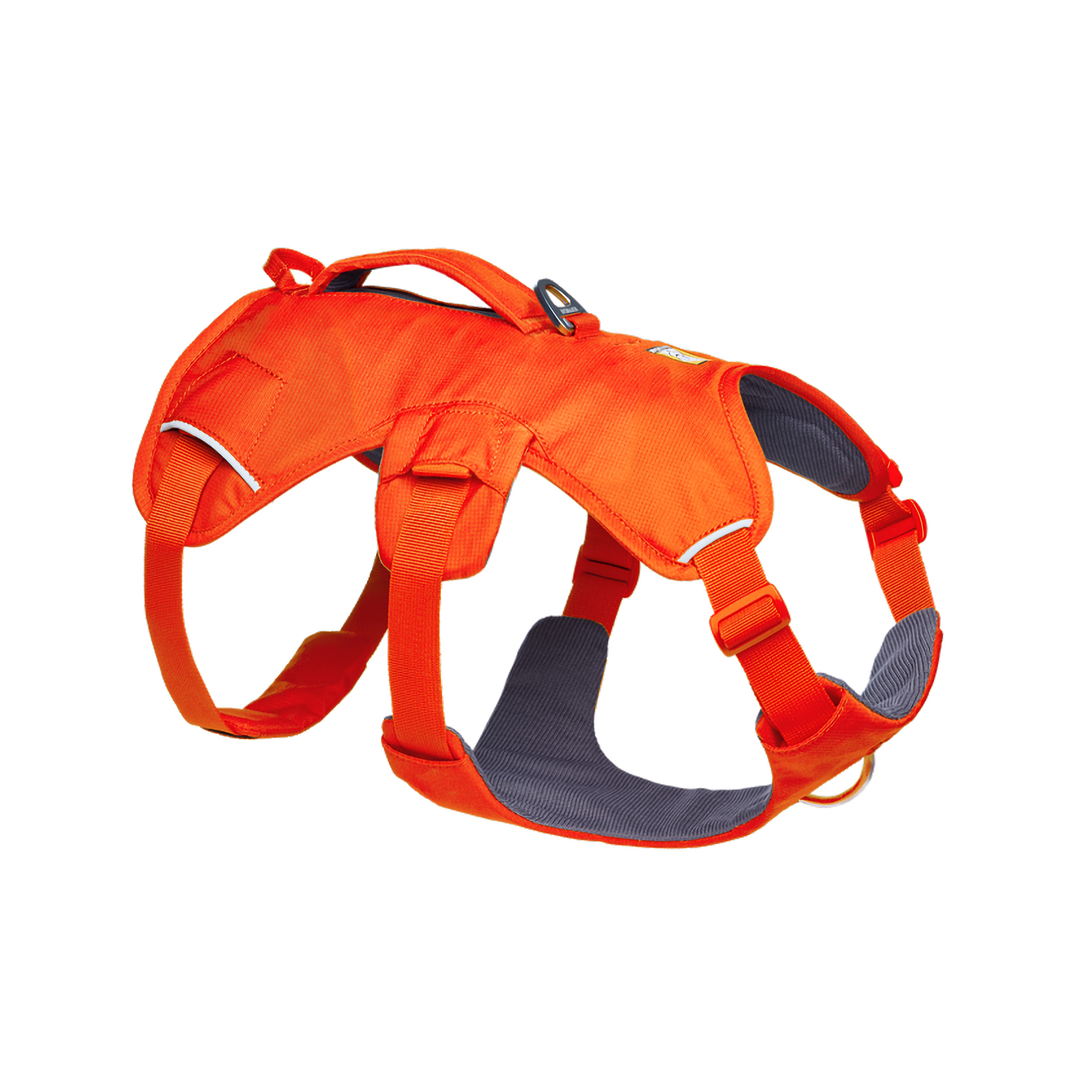 Web Master Harness