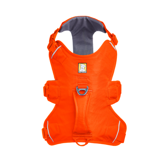 Web Master Harness