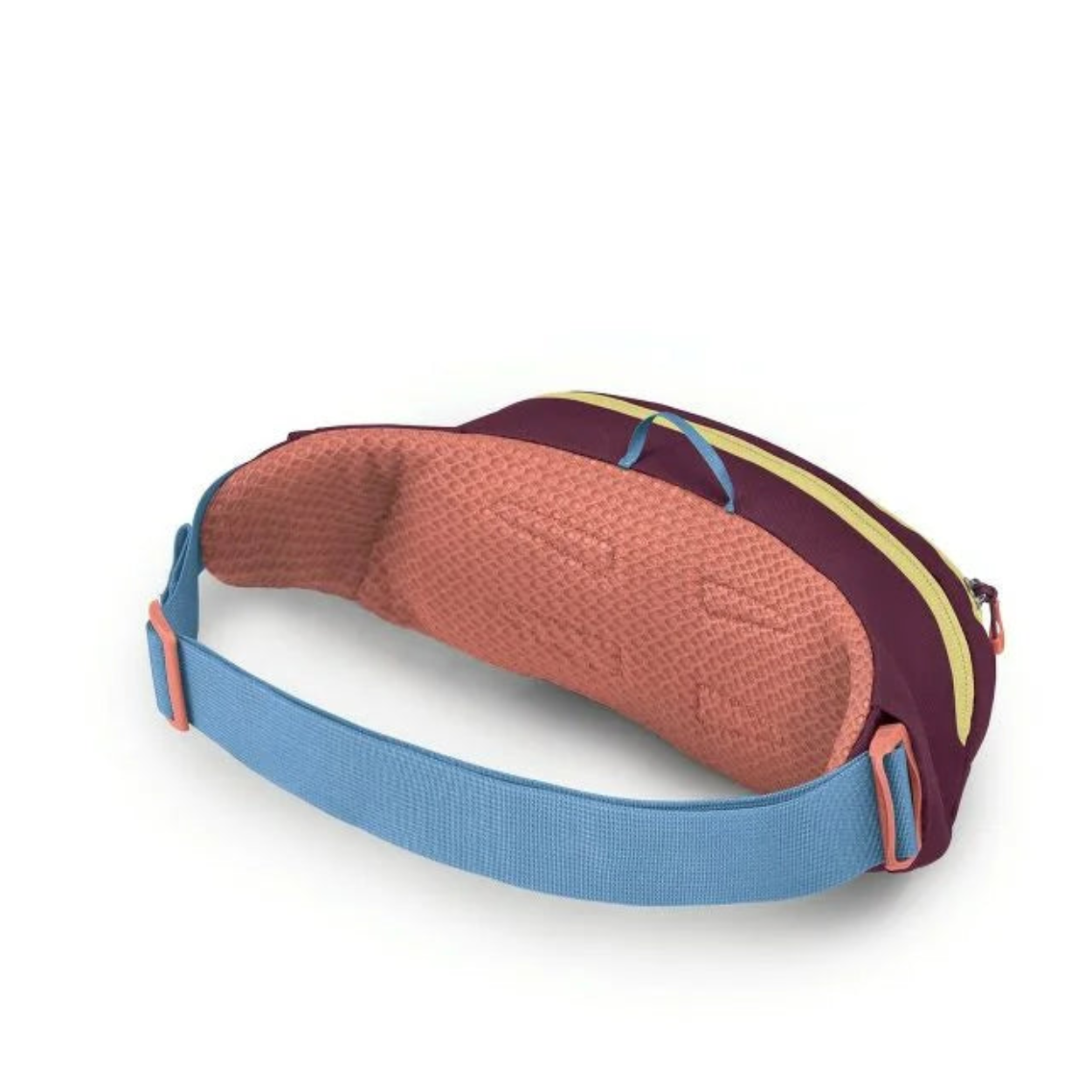 Daylite Waist Fanny Pack