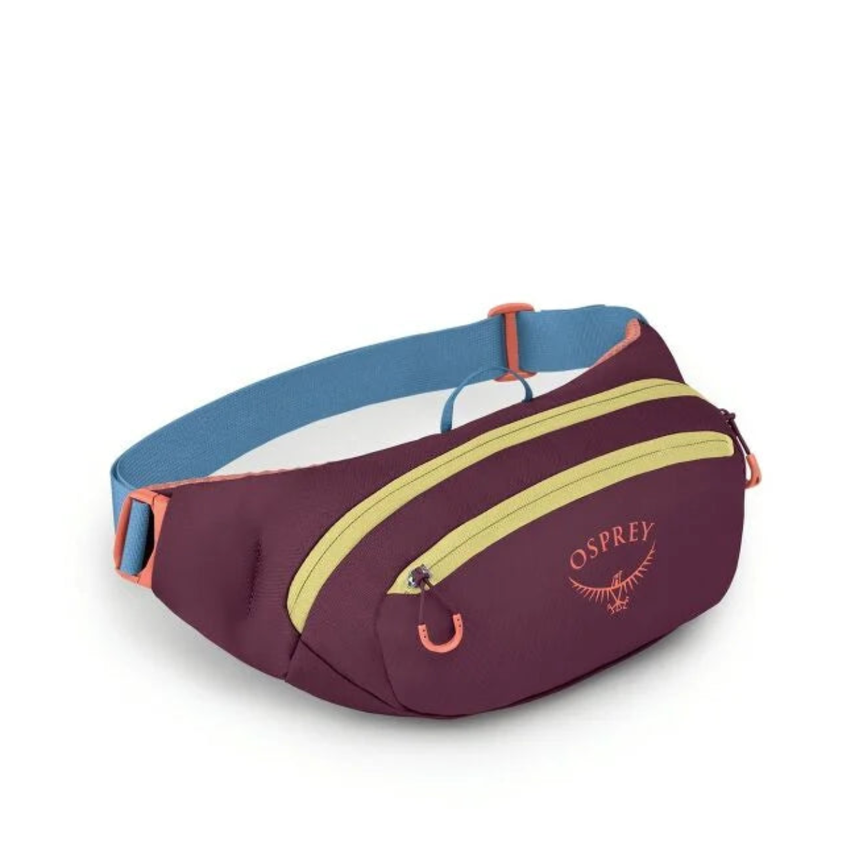 Daylite Waist Fanny Pack