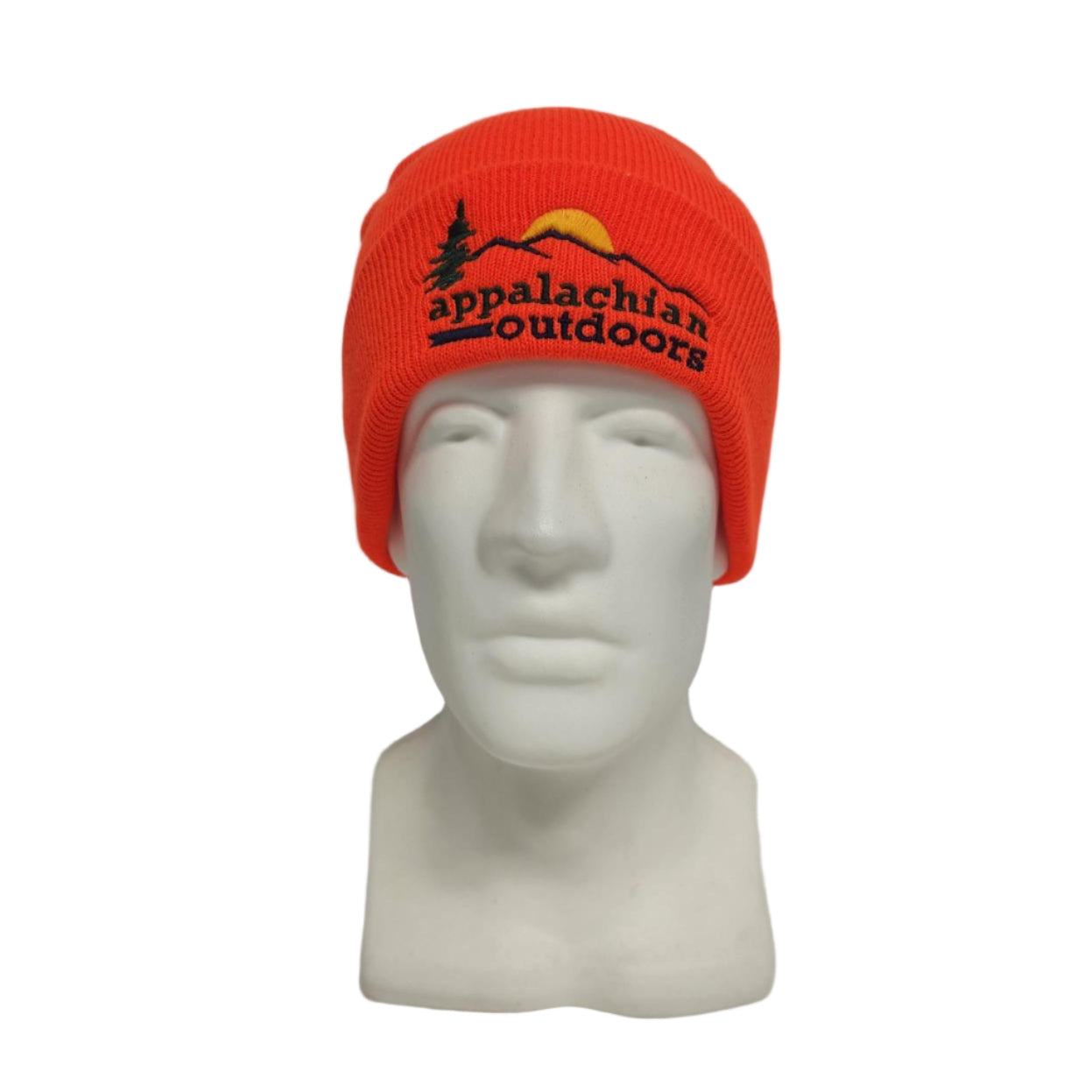 Cuffed Beanie