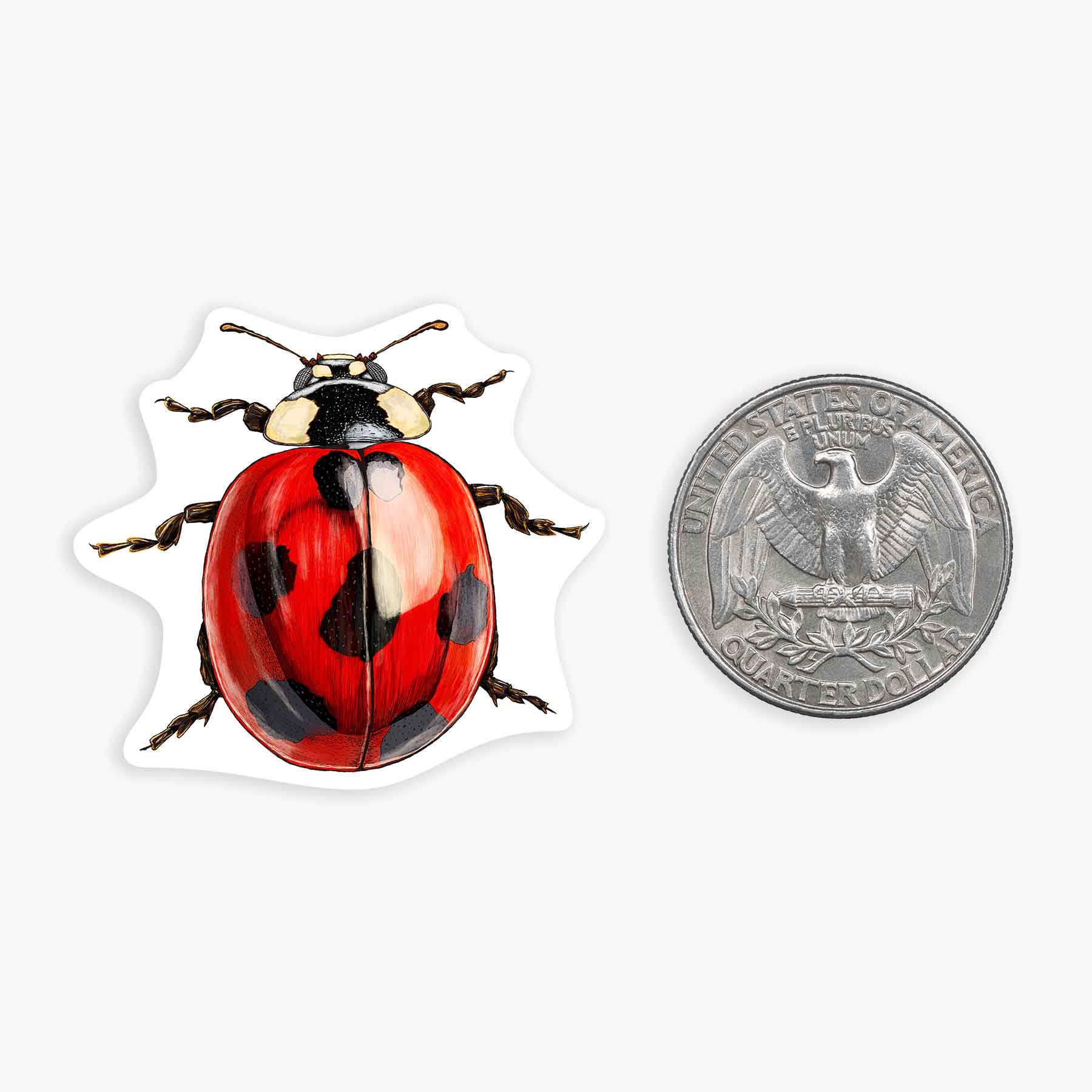 Mini Art Sticker