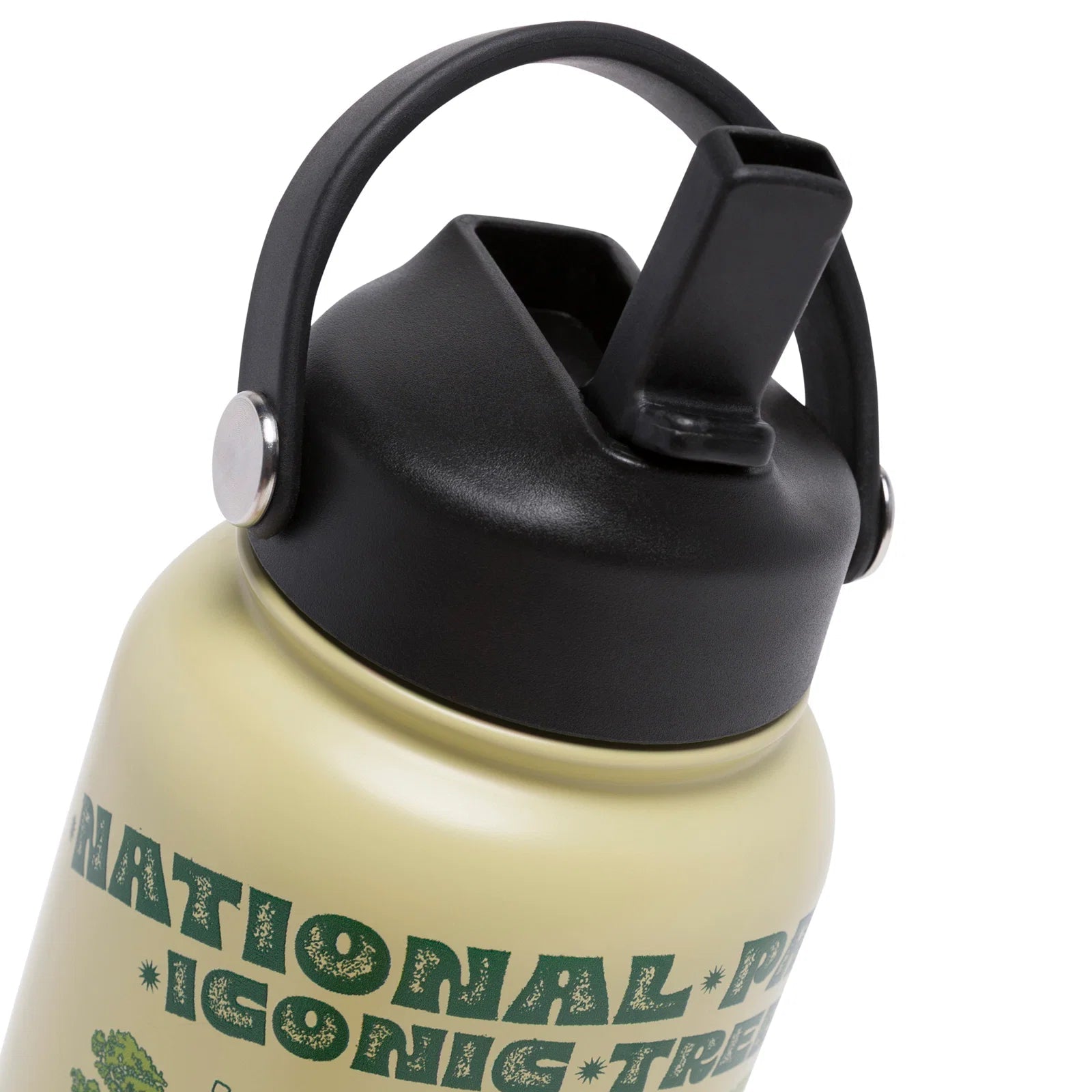 32oz Insulated Water Bottle