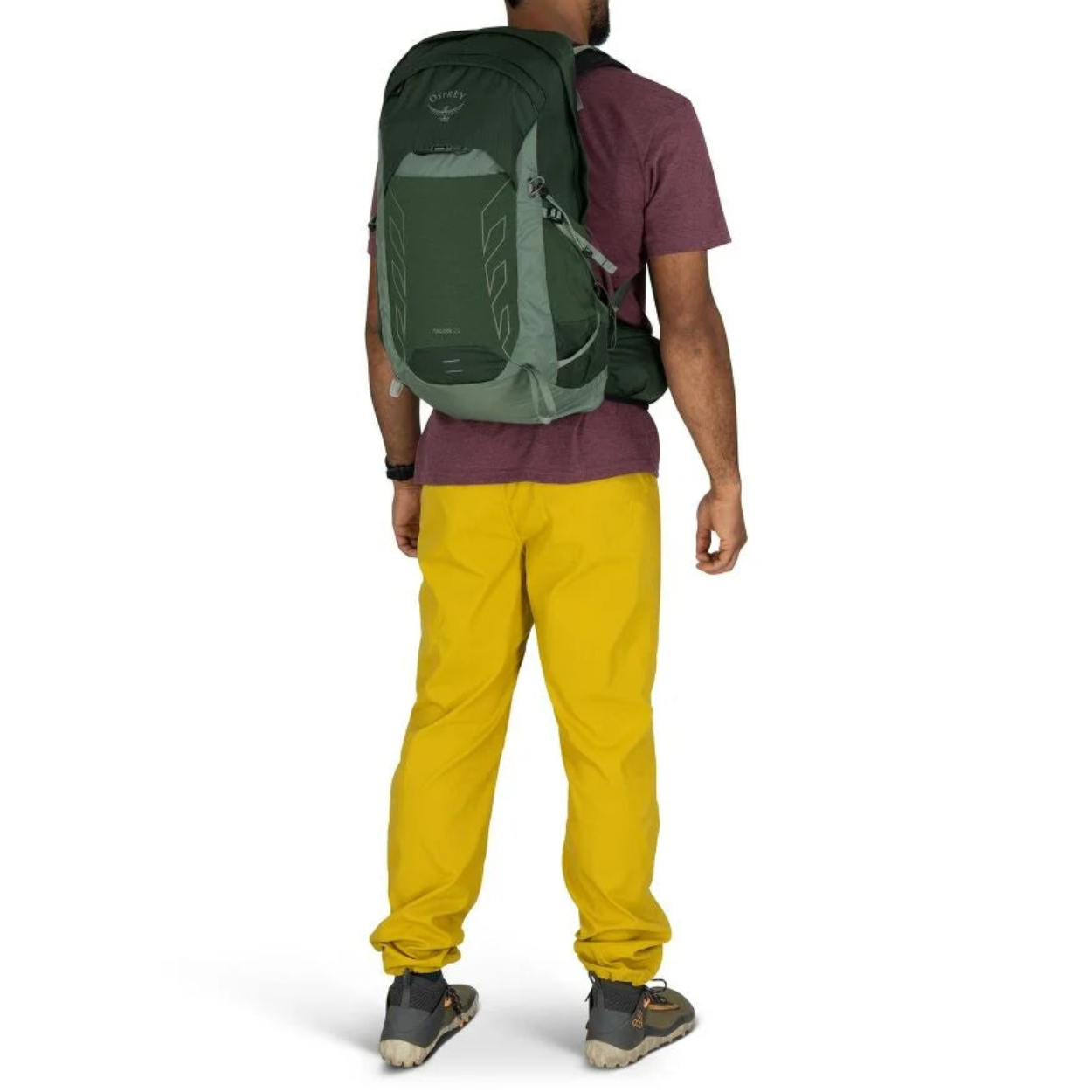 Talon 22 Hiking/Biking Backpack