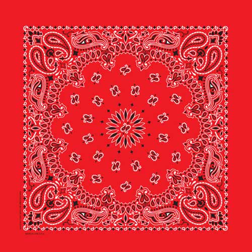 Paisley Bandana