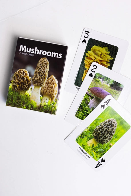 Playing Cards