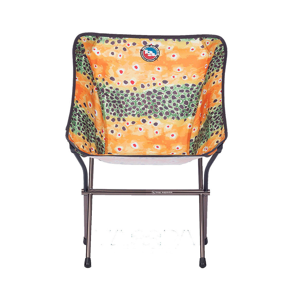 Mica Basin Camp Chair