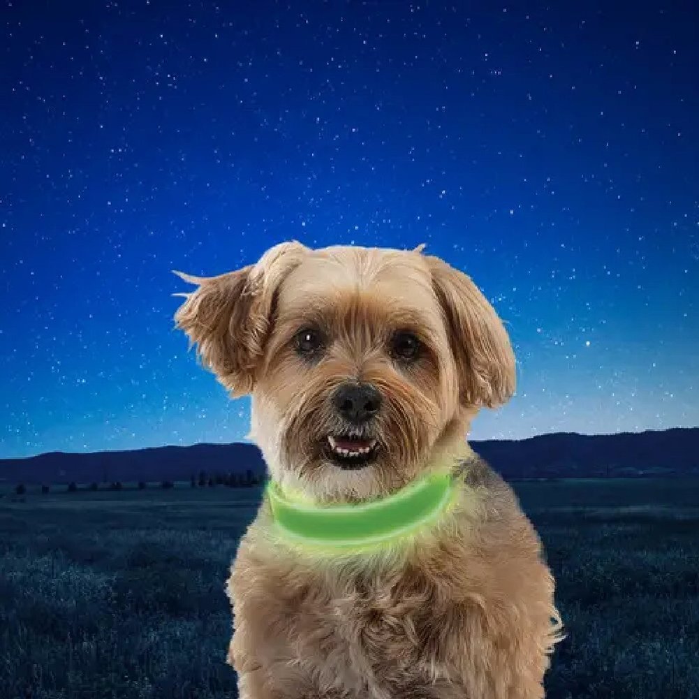 NiteDog Recharge LED Collar