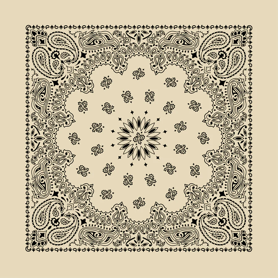 Bandanna Co. Contemporary Paisley