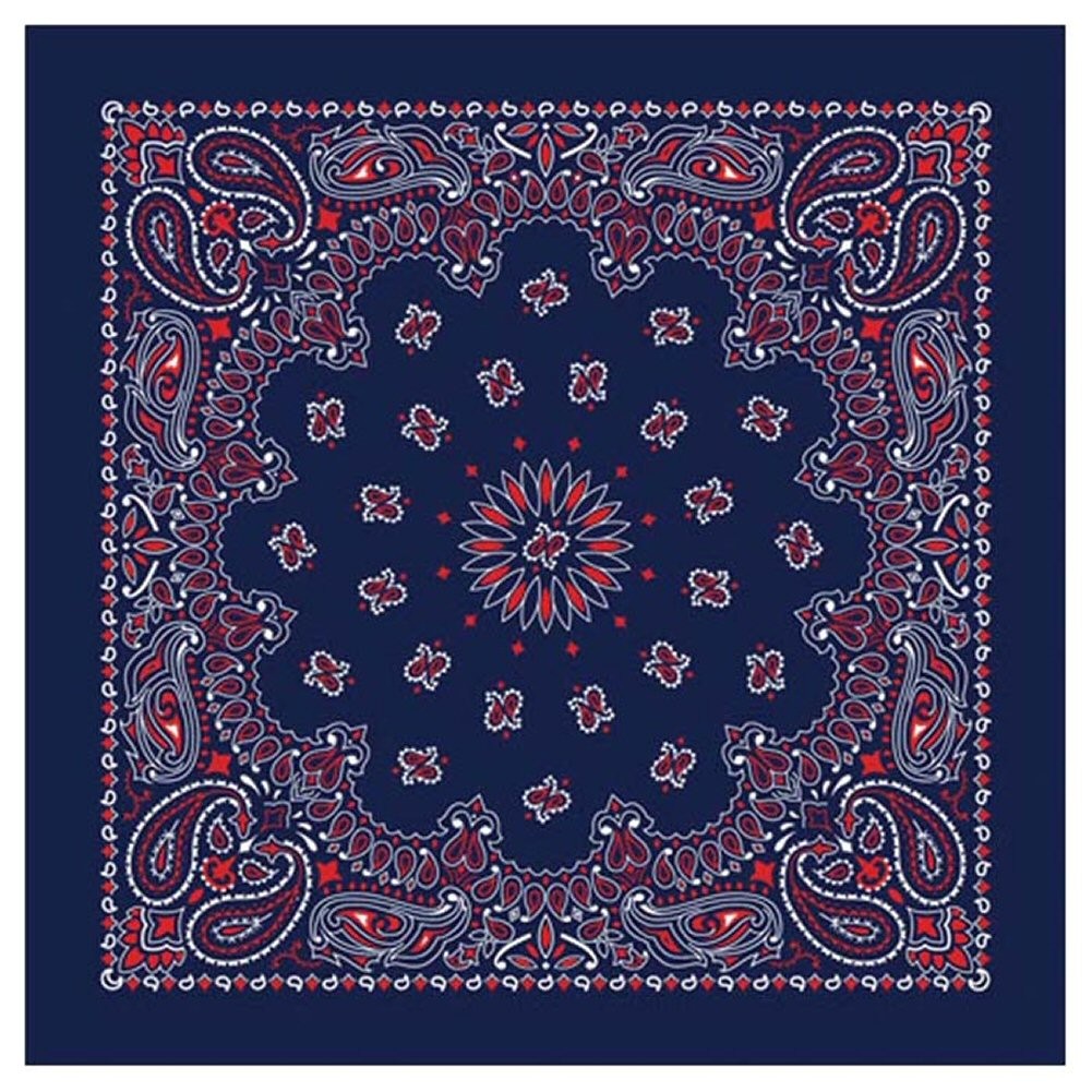 Paisley Bandana