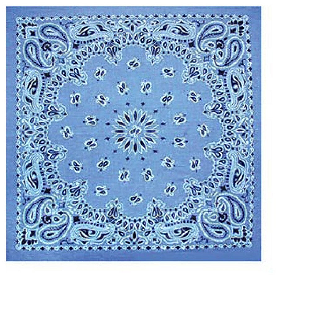 Paisley Bandana