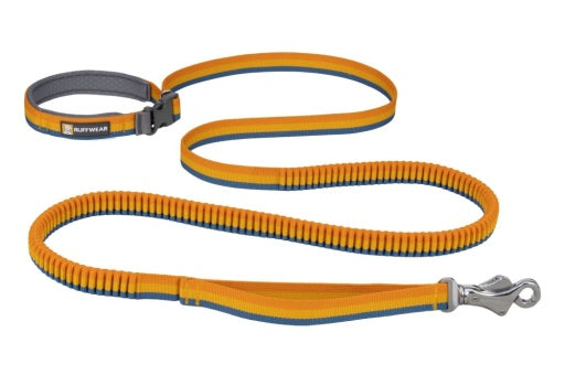 Roamer Dog Leash